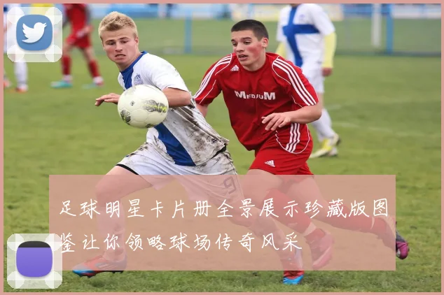 足球明星卡片册全景展示珍藏版图鉴让你领略球场传奇风采
