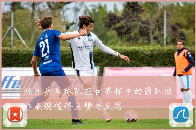 杭州乒乓球队在世界杯中的团队协作表现值得点赞与反思